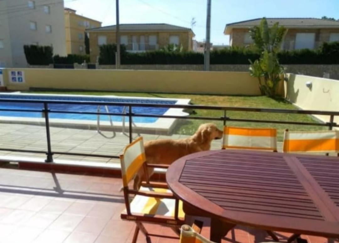 Apartamento Con Terraza Y Acceso Directo A La Piscina Y A 50 M De La Playa Miami Playa Exteriér fotografie
